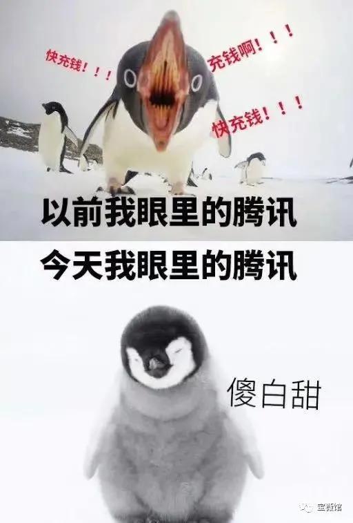 娱乐吃瓜酱自由男女平等,自由男女平等，共筑和谐娱乐生态